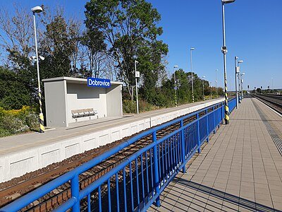Dobrovice