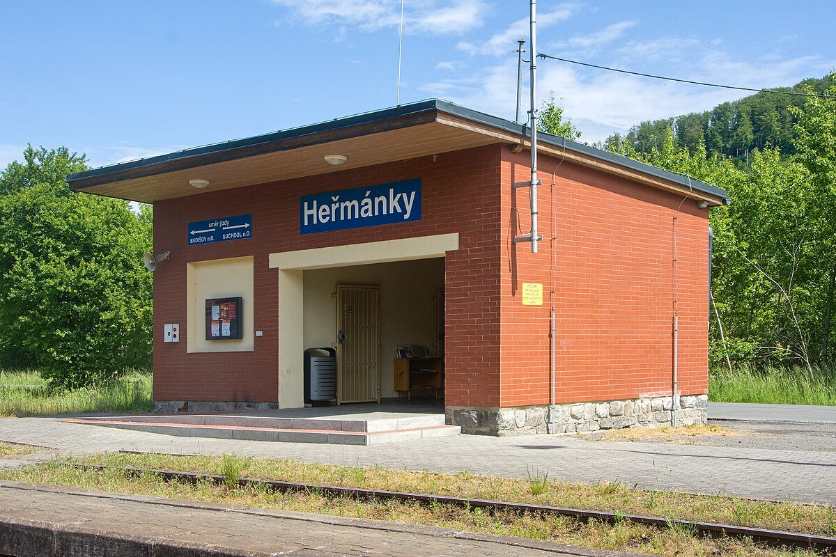 Heřmánky