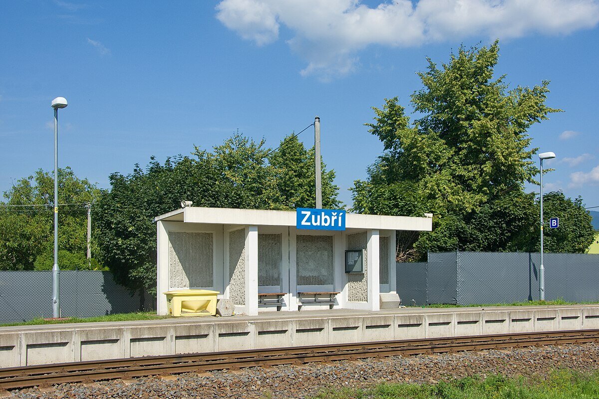 Zubří