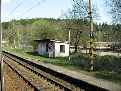 Pohledští Dvořáci