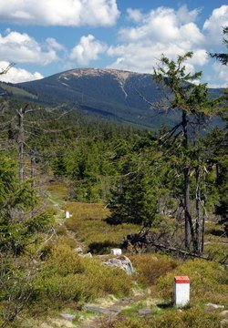 Králický Sněžník / Śnieżnik
