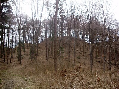 zřícenina Hrádek (Stagnov)