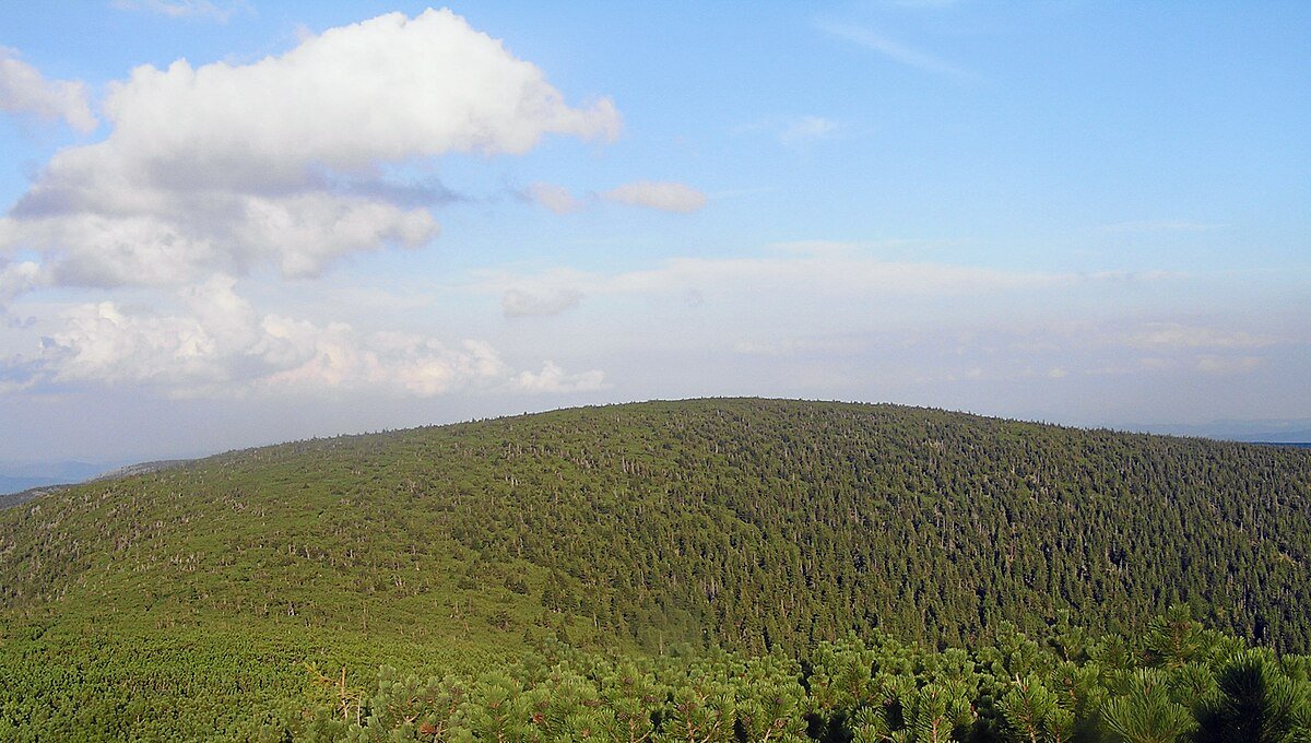 Czarna Kopa / Svorová hora