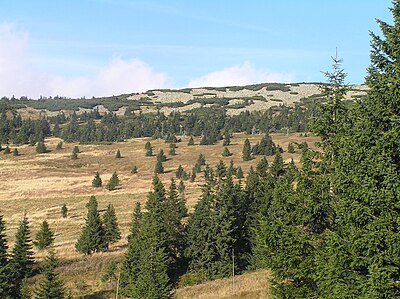 Zadní Planina