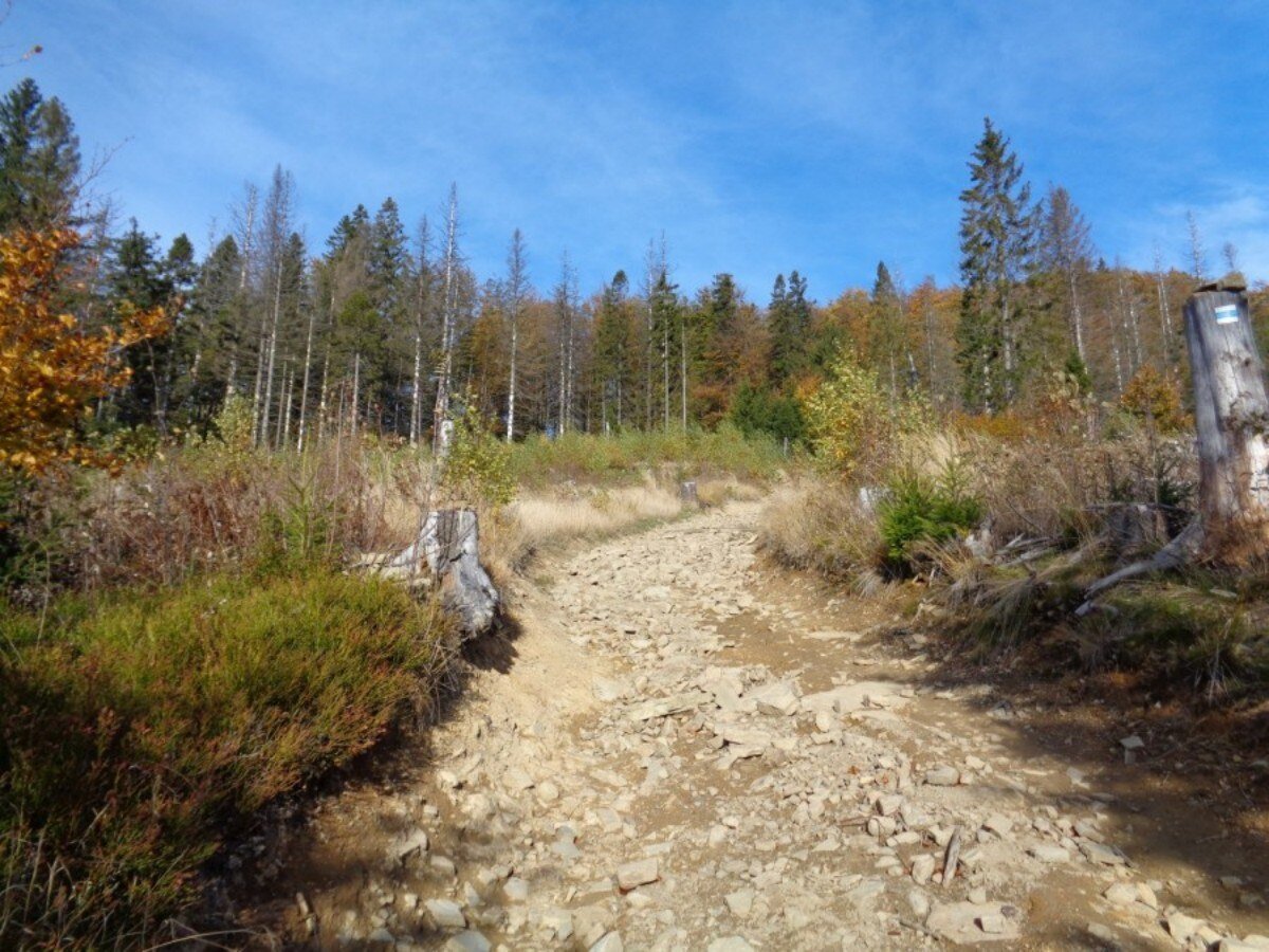 Krkavice / Kyrkawica