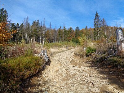 Krkavice / Kyrkawica