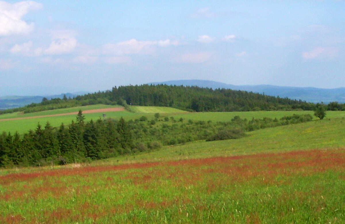 Zadní hraniční vrch