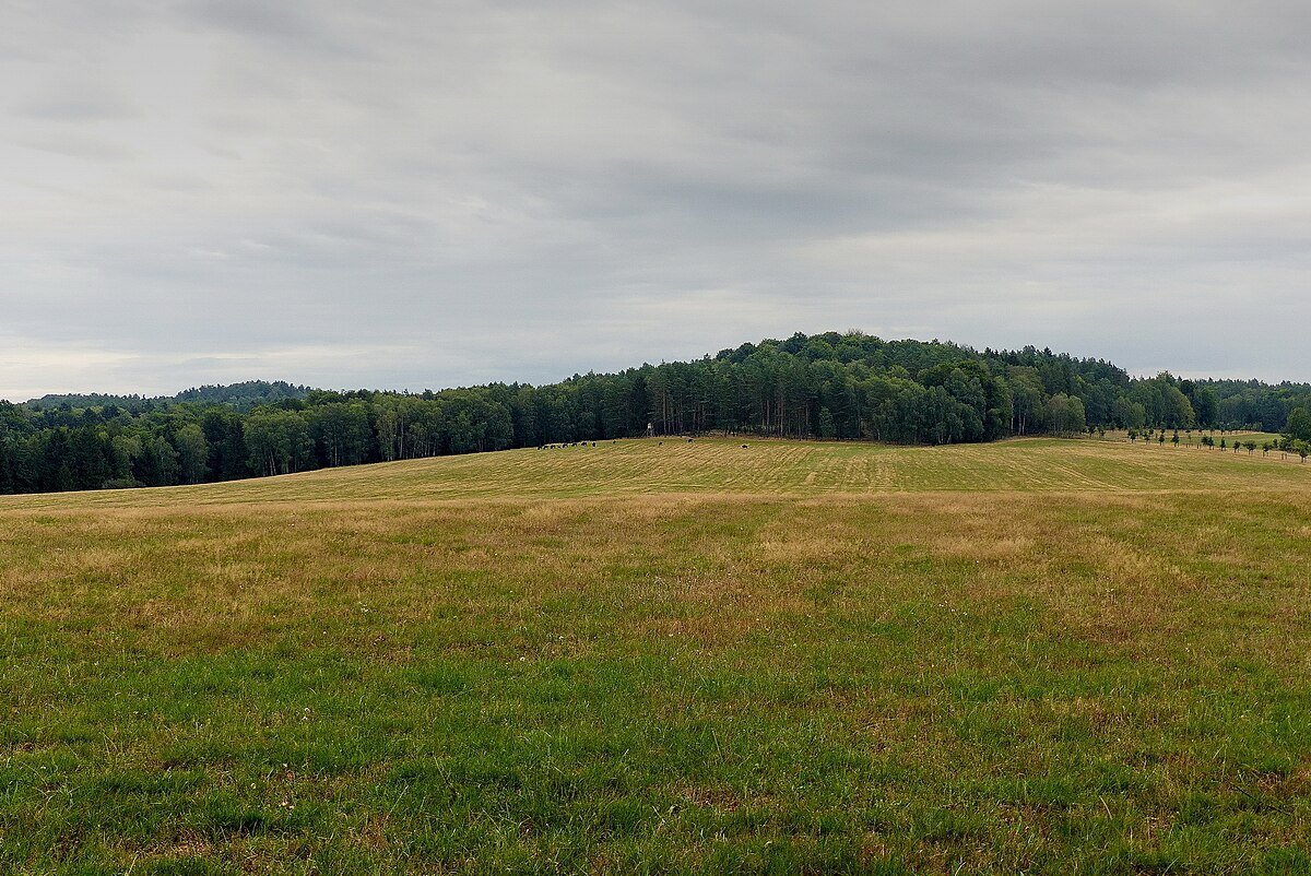 Svébořický Špičák