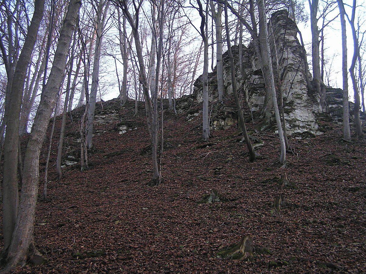 hradiště Hrádníky