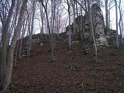 hradiště Hrádníky