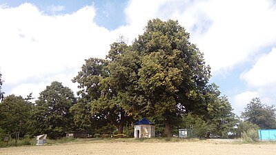 Baldovské návrší