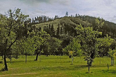 Nový Šaumburk (Zubříč)