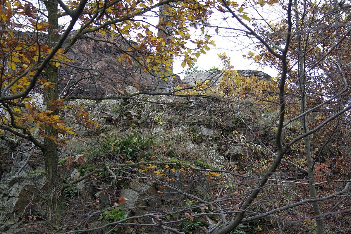 Kozlov (hrad, okres Třebíč)