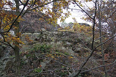 Kozlov (hrad, okres Třebíč)