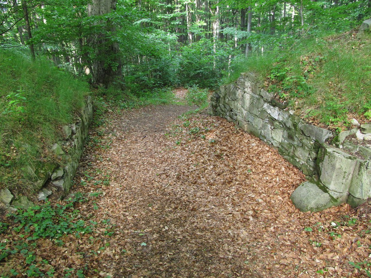 zřícenina hradu Křídlo