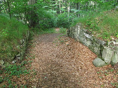 zřícenina hradu Křídlo