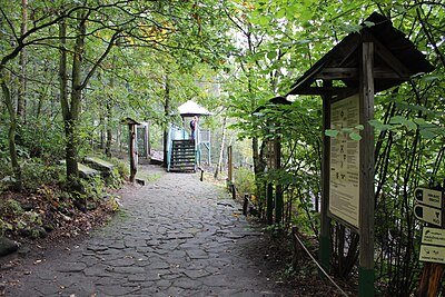 Zoologická zahrada Děčín - Pastýřská stěna