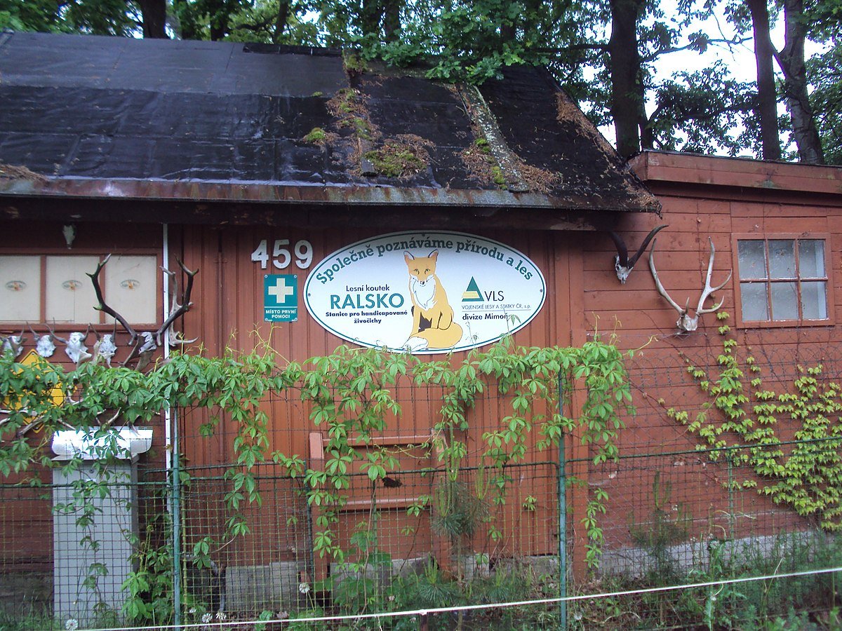 Lesní koutek Ralsko - Mini ZOO