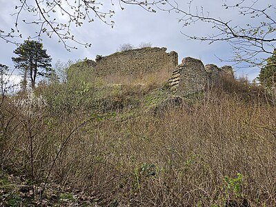 Zřícenina hradu Cvilín (Šelenburk)
