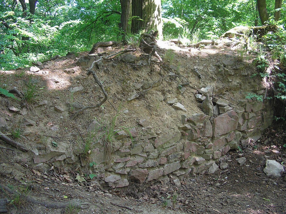 zřícenina hradu Ronov