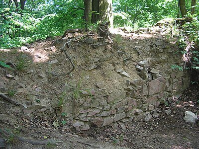 zřícenina hradu Ronov