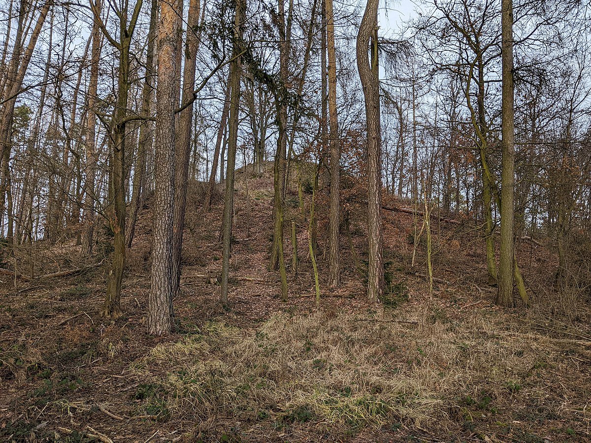 Zřícenina hradu Stejc