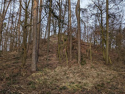 Zřícenina hradu Stejc