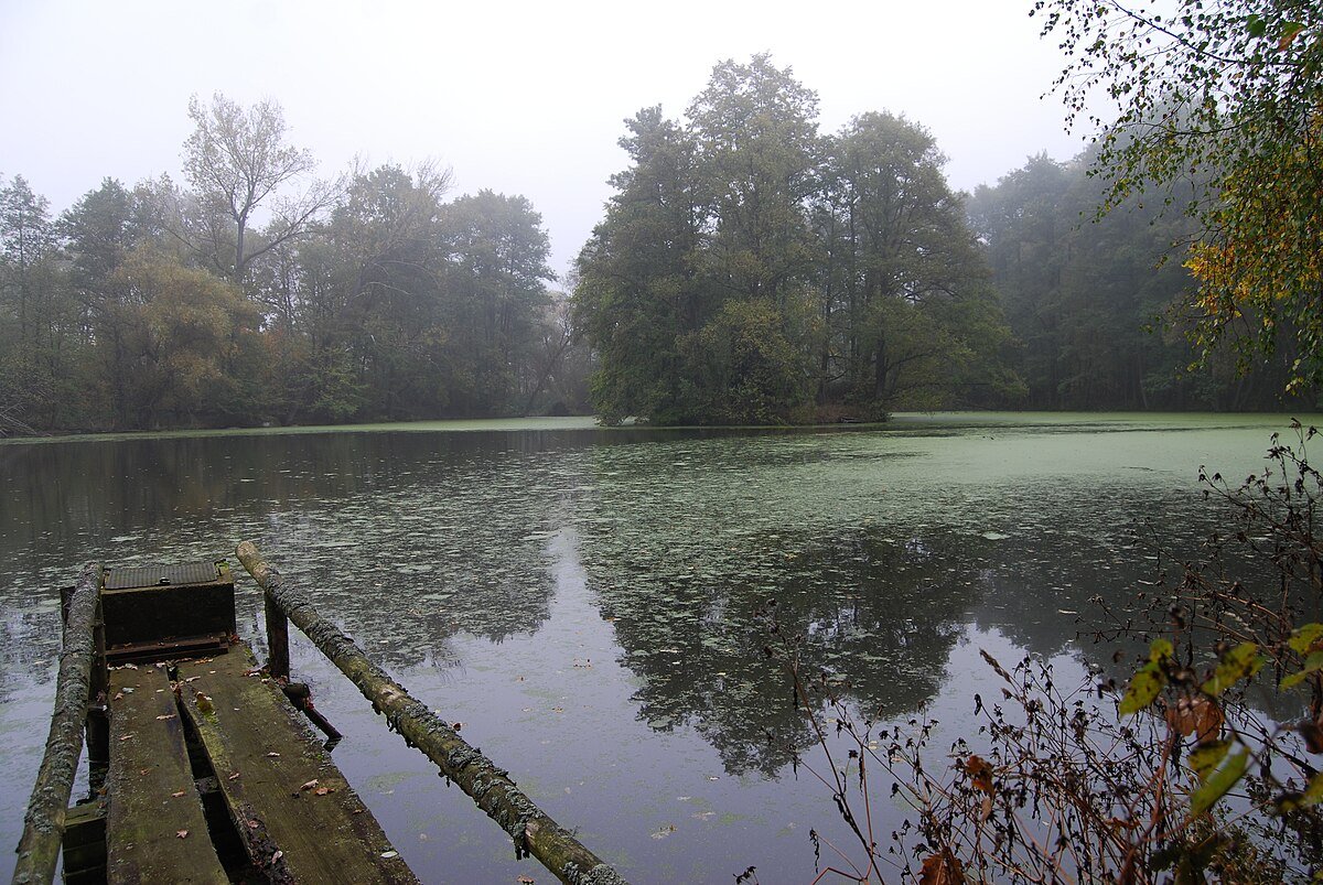 Vespice (zaniklá tvrz)