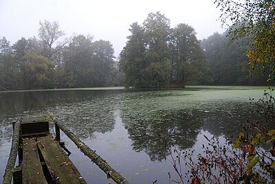 Vespice (zaniklá tvrz)