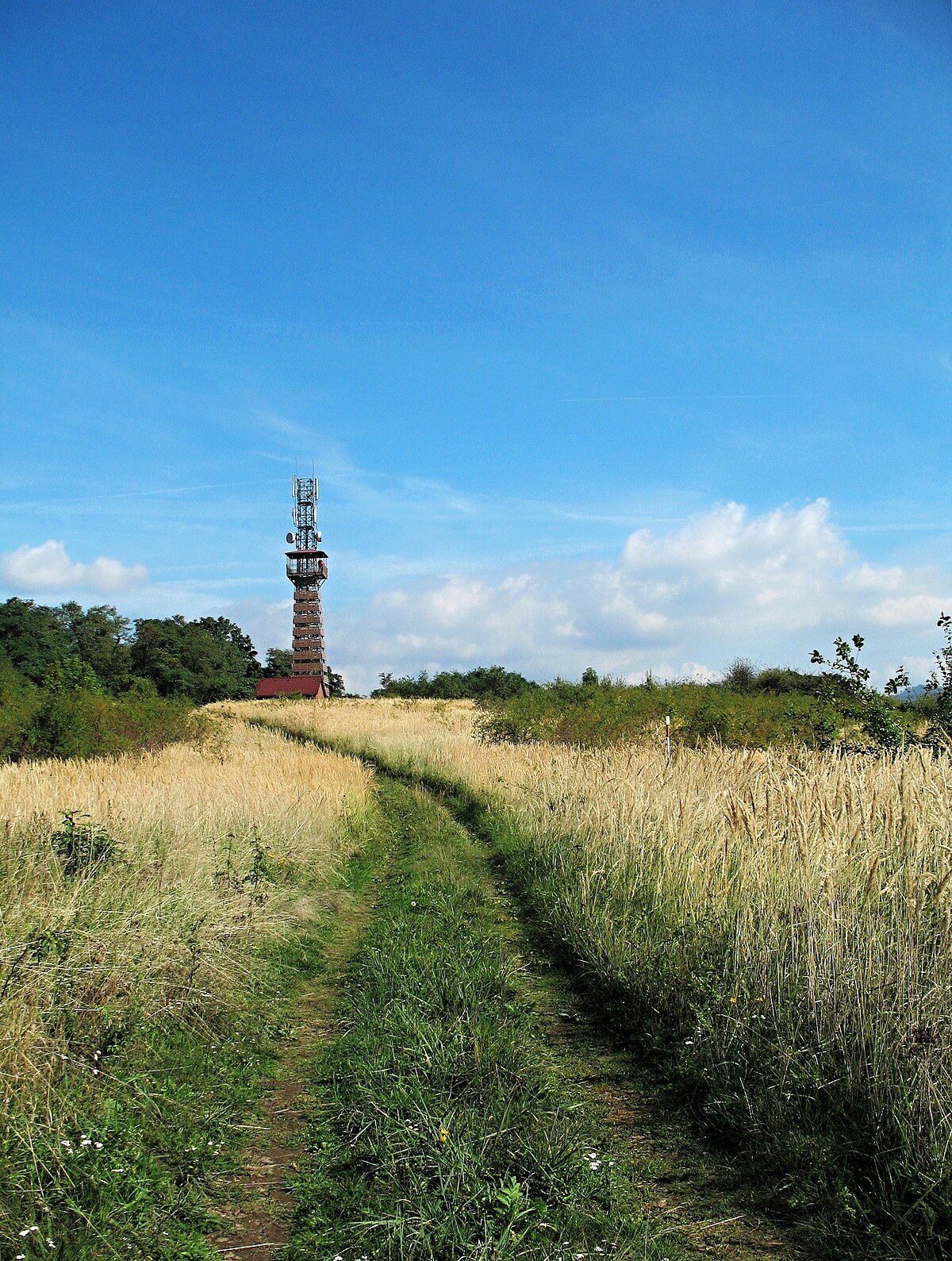 Radejčín rozhledna
