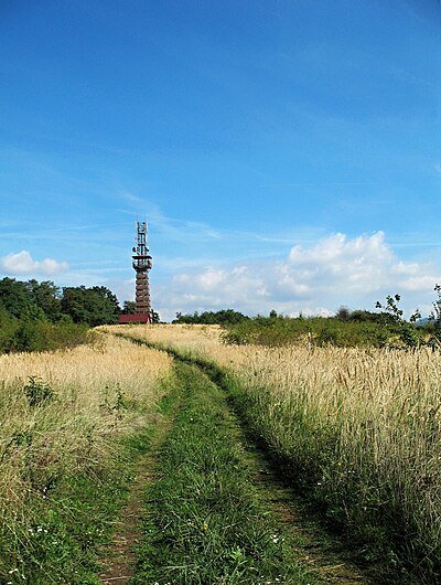 Radejčín rozhledna