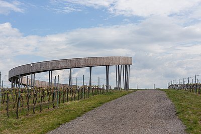 Stezka nad vinohrady