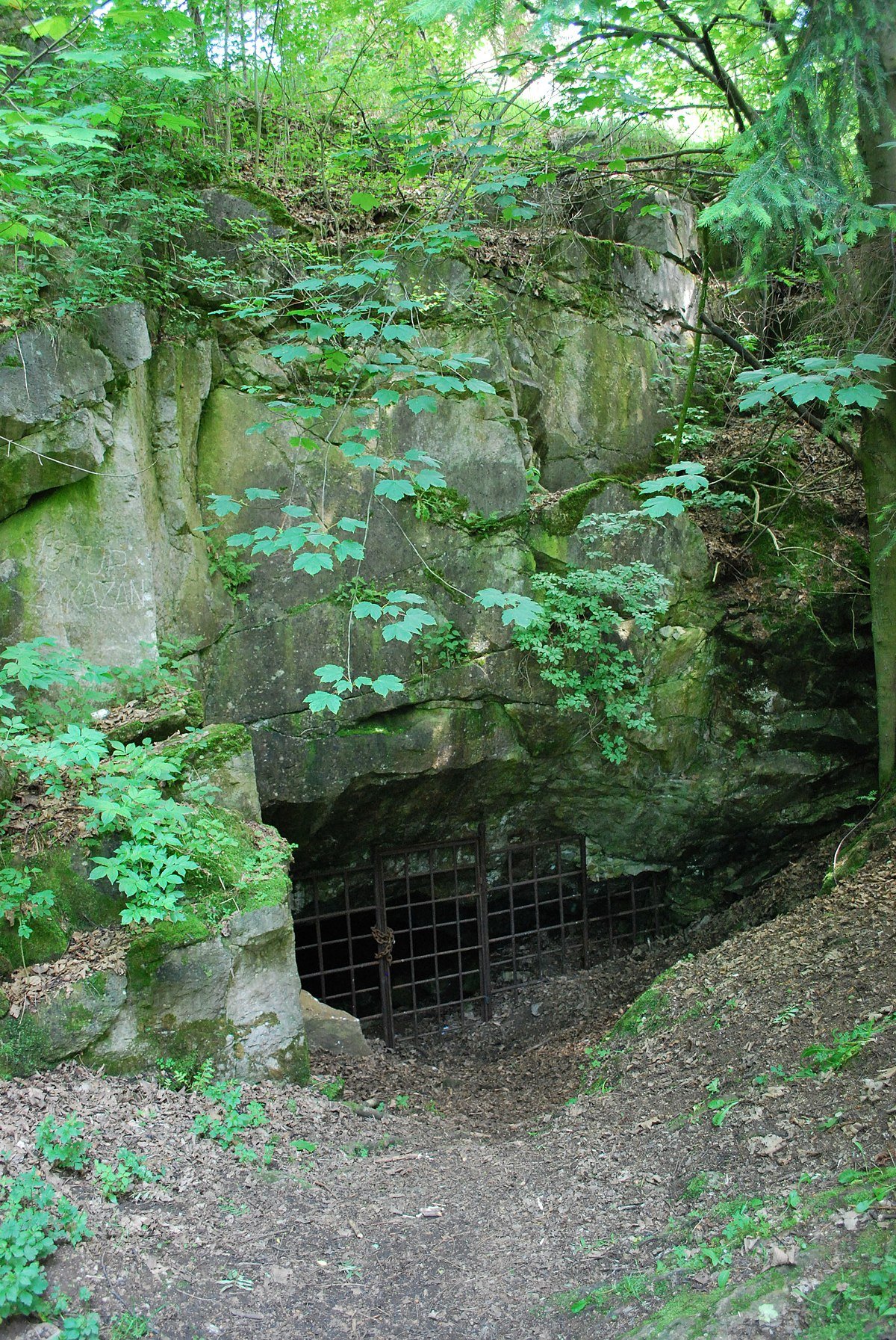 Strašínská jeskyně