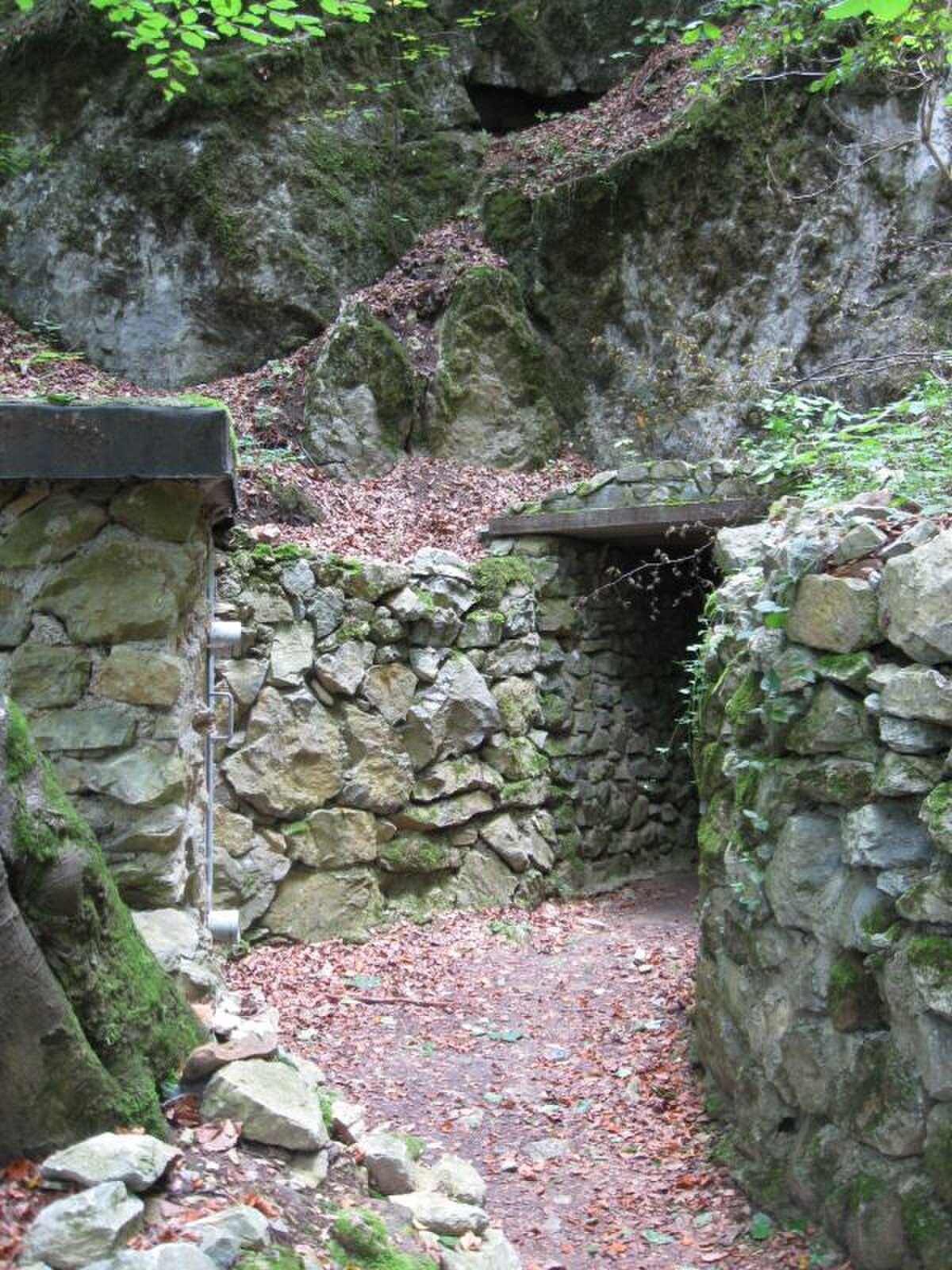 Holštejnská jeskyně