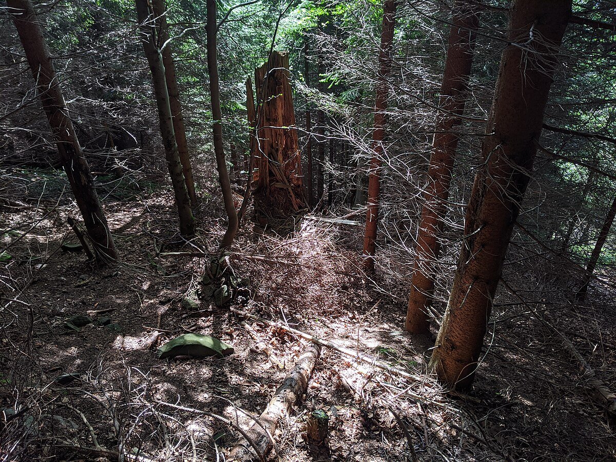 Kněhyňská jeskyně