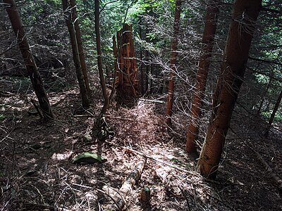 Kněhyňská jeskyně