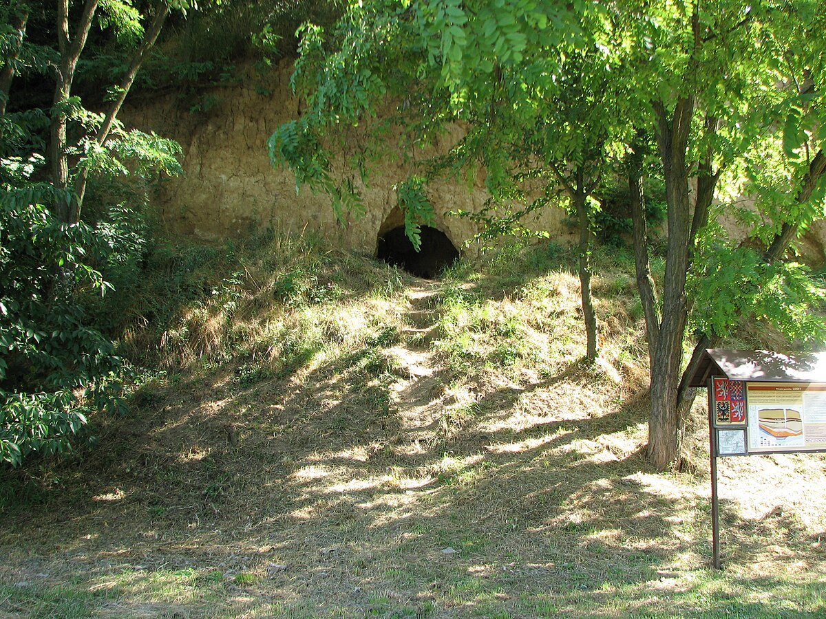 Přírodní památka Losky