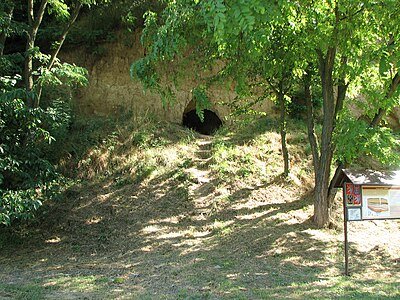 Přírodní památka Losky