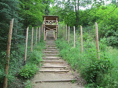 Pracovní tábor Svornost