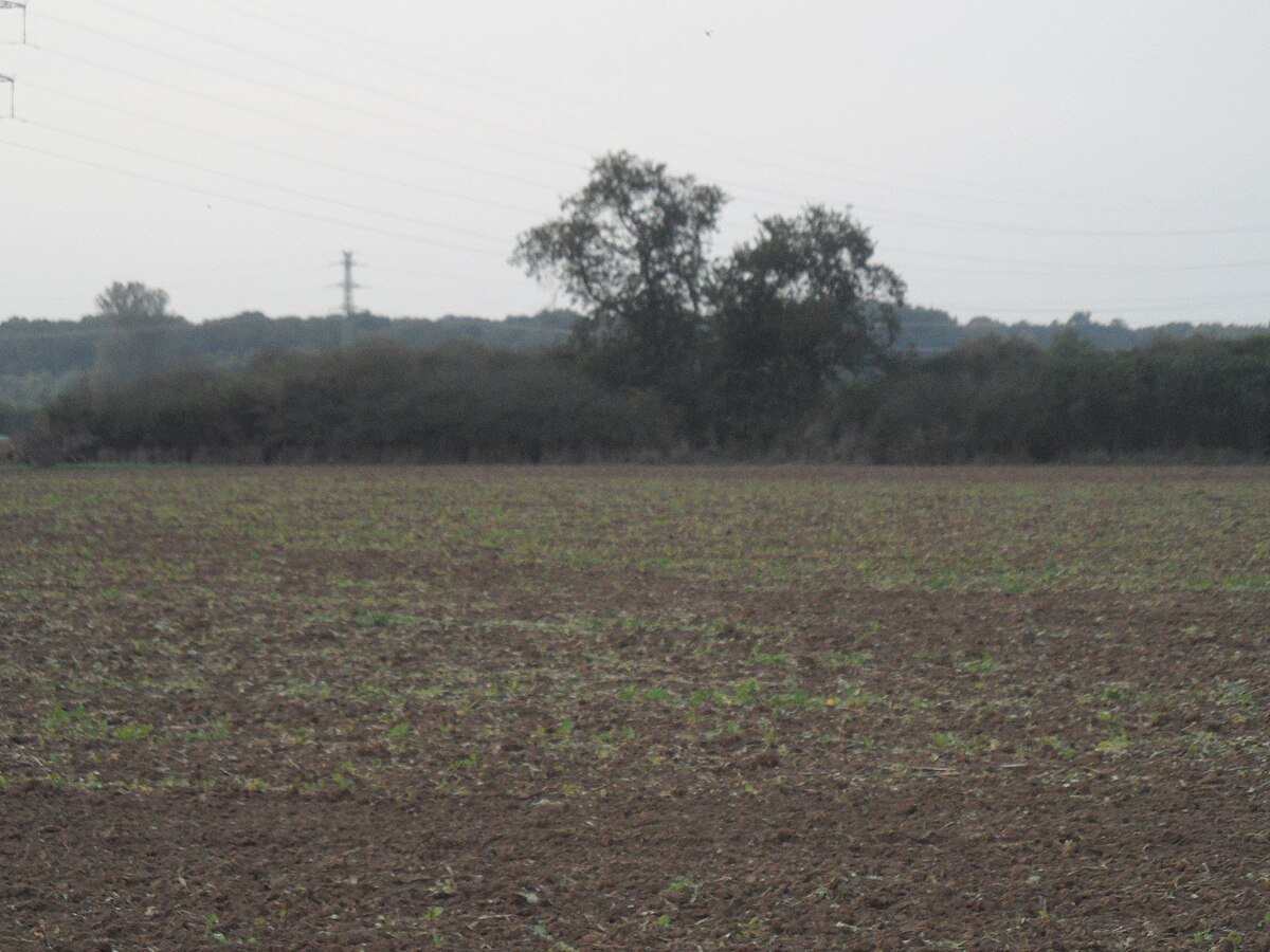 Slovanské blatné hradiště Svatovík