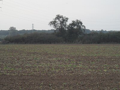 Slovanské blatné hradiště Svatovík
