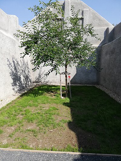 Mašínův statek - Památník tří odbojů.