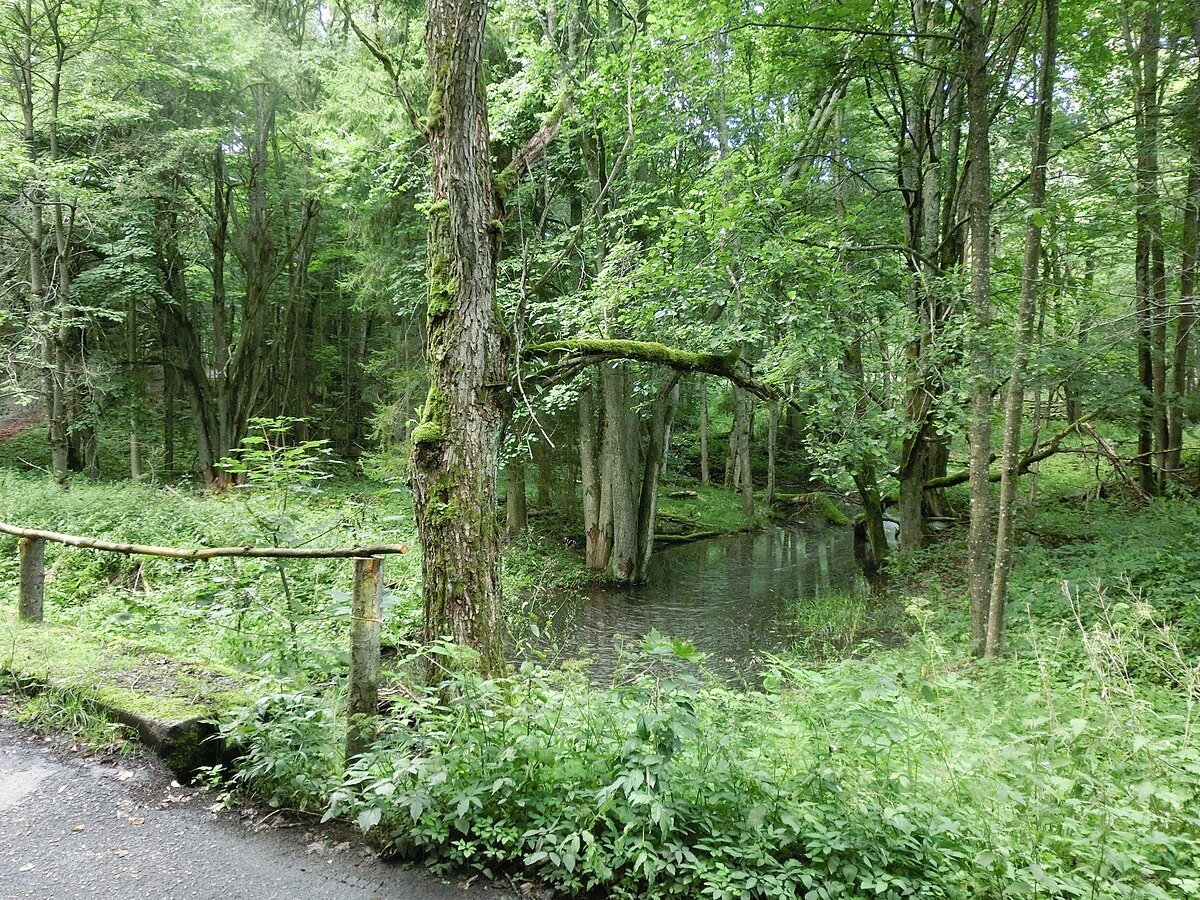 Zaniklá ves Hraničky