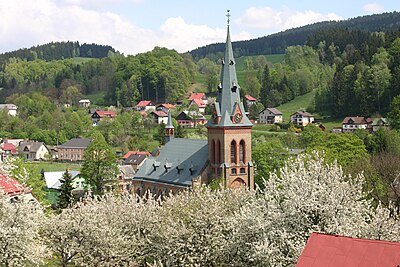 Nanebevzetí Panny Marie