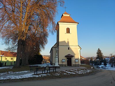 Nanebevzetí Panny Marie