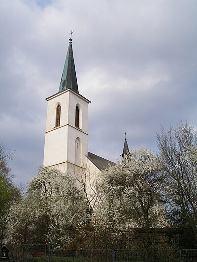 Nanebevzetí Panny Marie